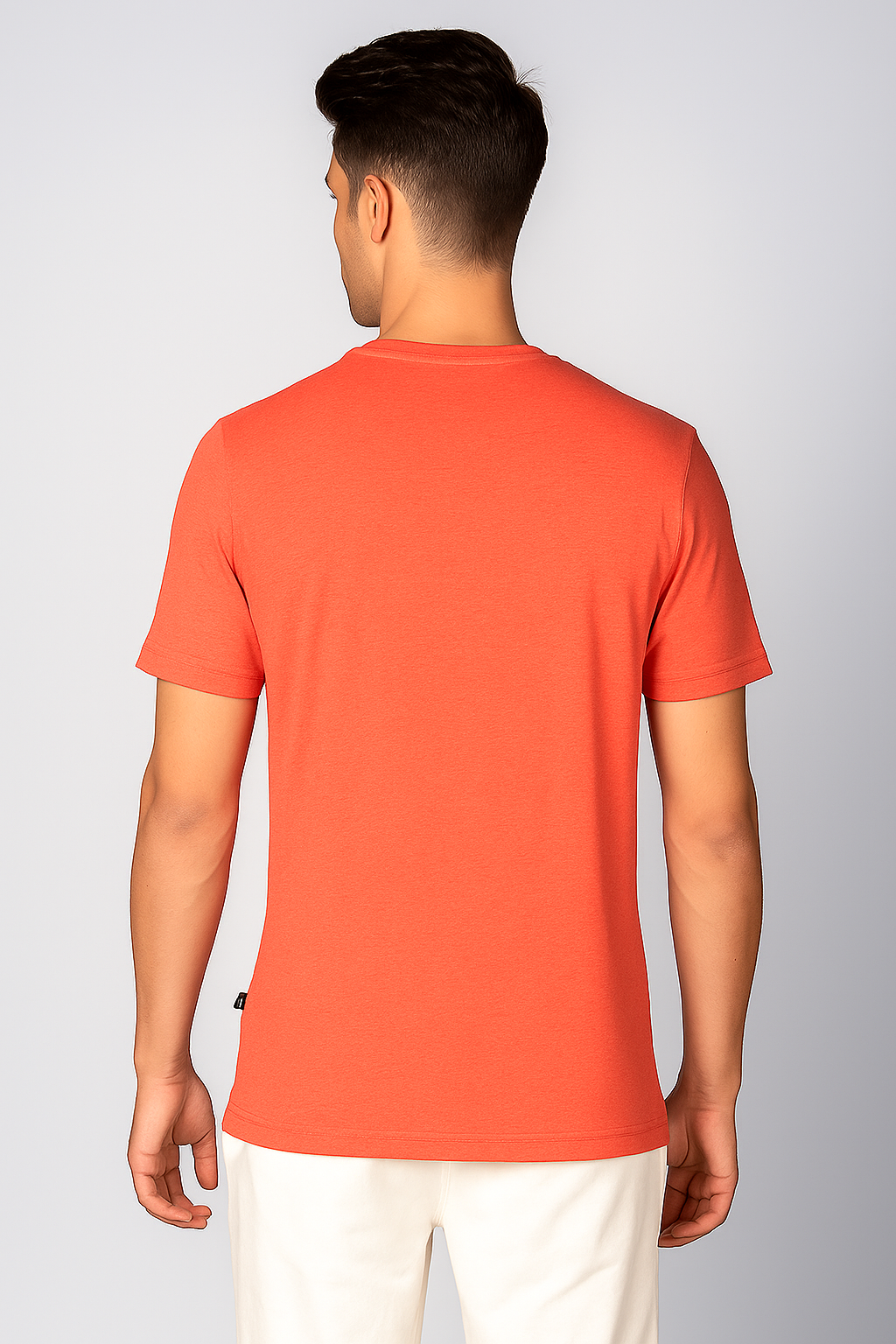 CARROT HTR