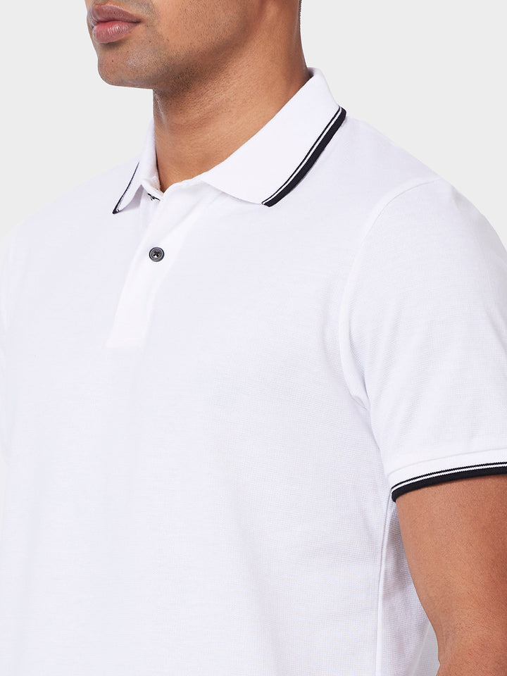 Men’s Solid  Polo with Tipping Collar
